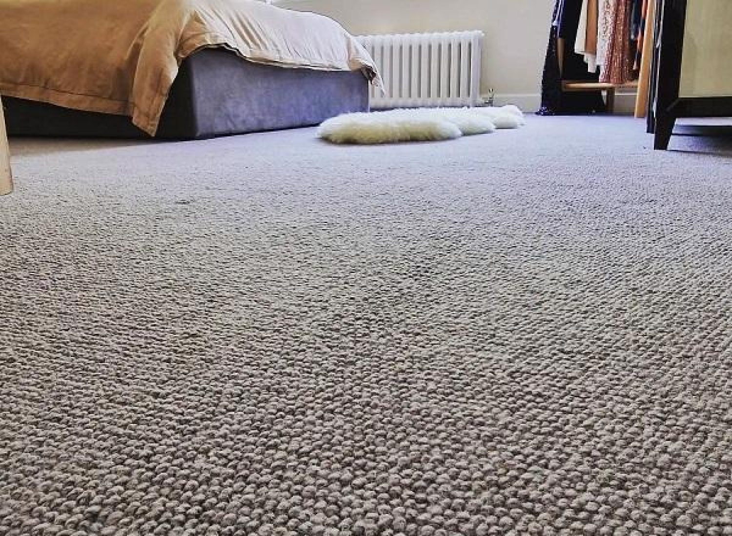 Carpet (1)